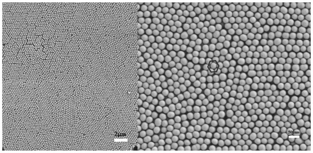 Zika virus detection kit based on photonic crystal enhanced electrochemiluminescence and preparation method thereof