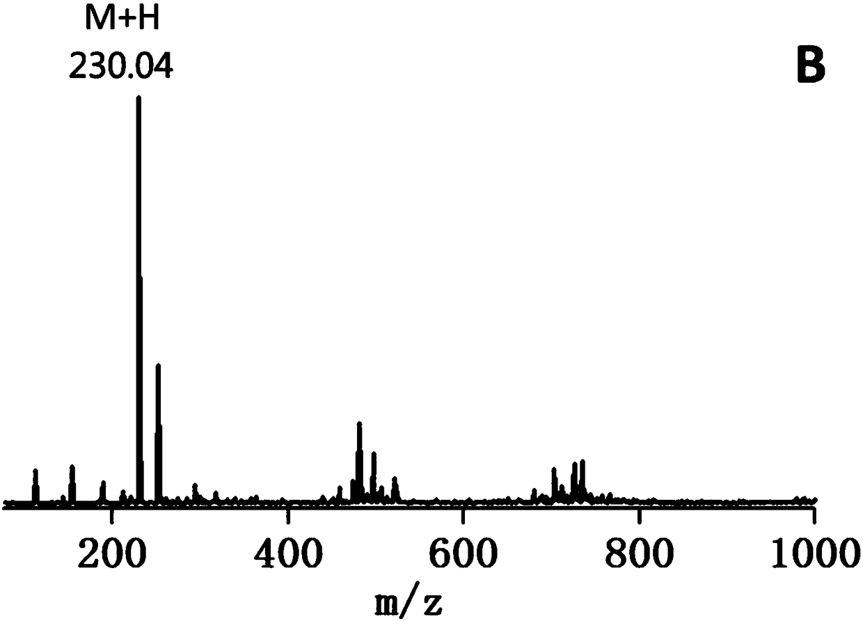 Amphiphilic polymeric prodrugs for reducing and releasing original drug and preparation method thereof