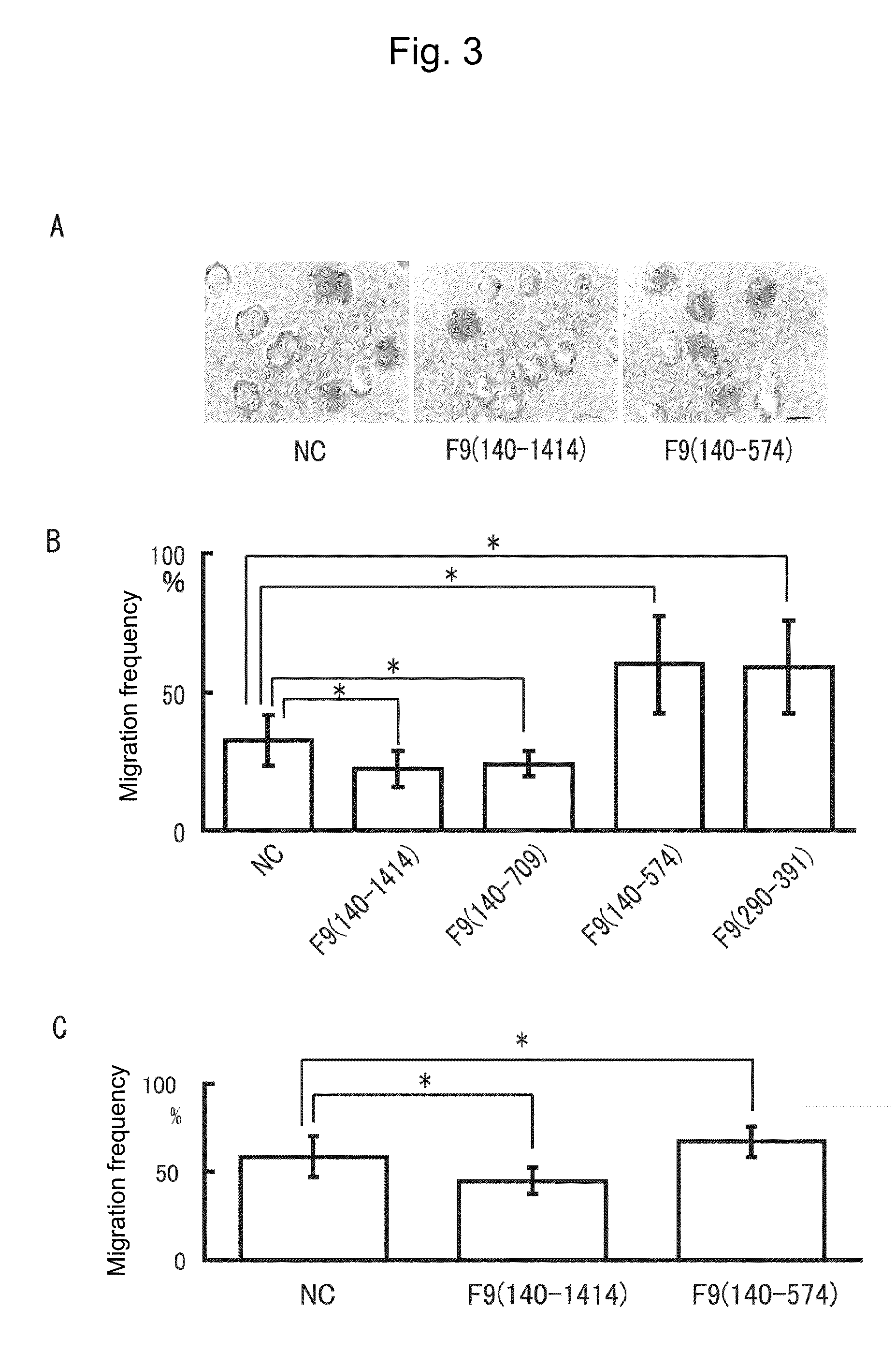 Cell migration regulator