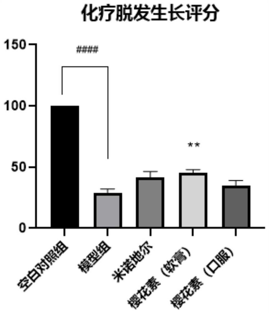 Application of sakuranetin in hair loss prevention and hair growth