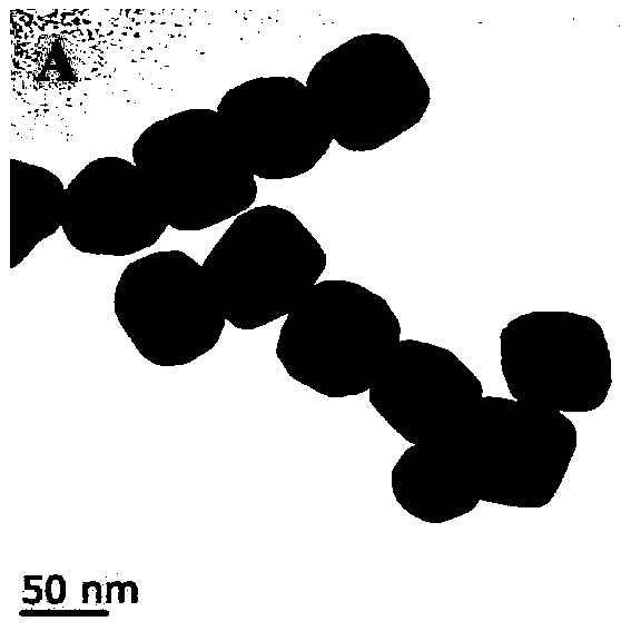 A kind of measuring method of methylmercury and ethylmercury