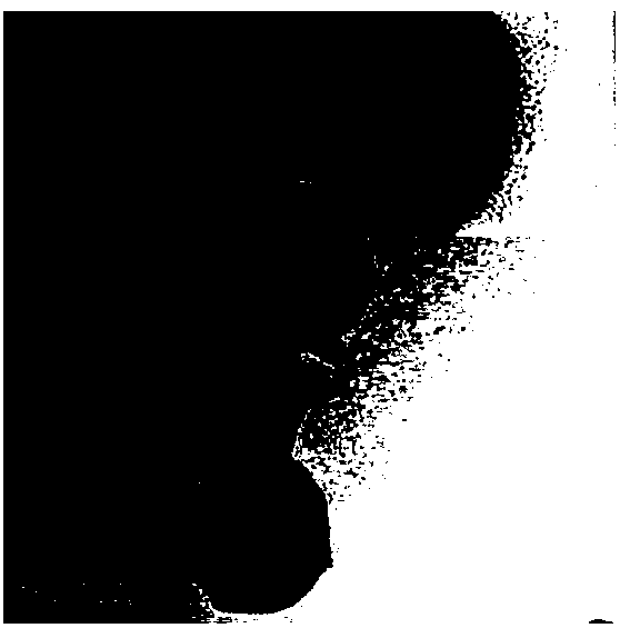 A kind of measuring method of methylmercury and ethylmercury