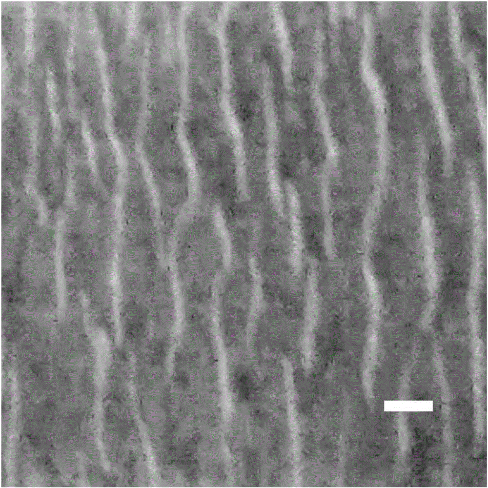 Method for preparing stretchable breath detection material