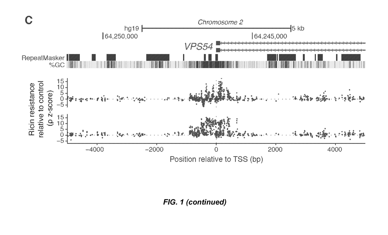 Crispr/cas transcriptional modulation