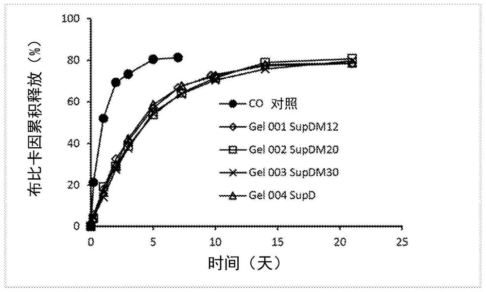 Injectable long-acting local anesthetic semi-solid gel formulations