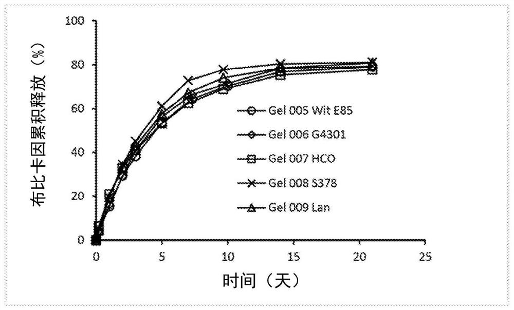 Injectable long-acting local anesthetic semi-solid gel formulations