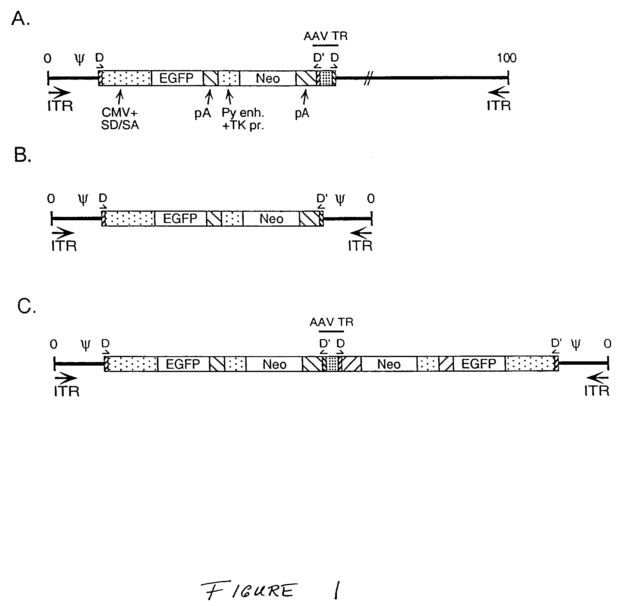 Hybrid adenovirus/adeno-associated virus vectors and methods of use thereof