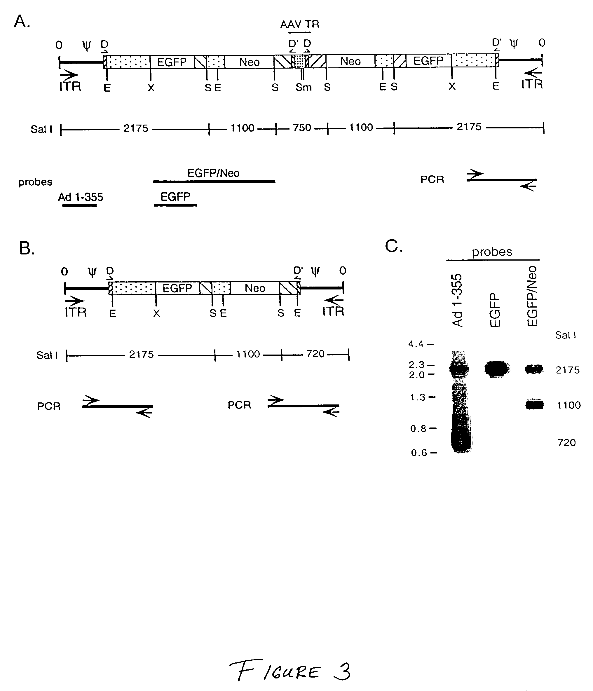 Hybrid adenovirus/adeno-associated virus vectors and methods of use thereof