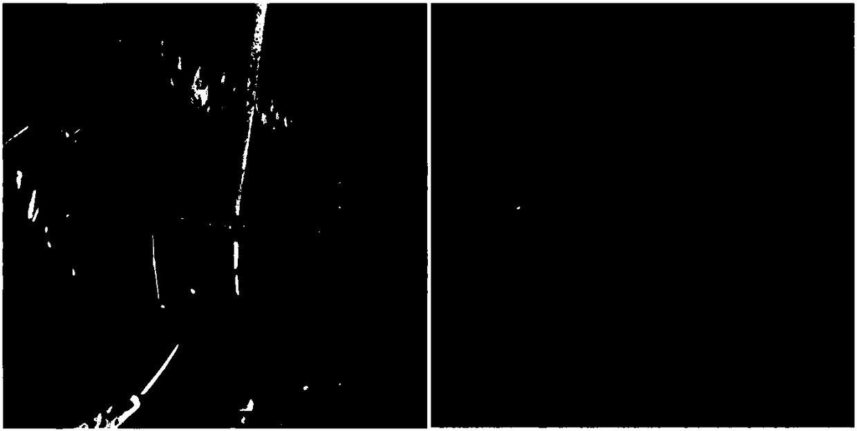 3D printing material, neural restoration catheter and preparation method of neural restoration catheter