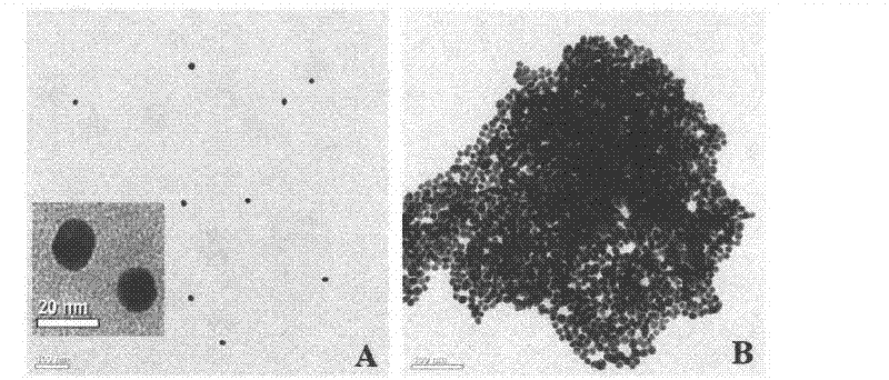 Method for rapidly detecting residuals of organophosphorus pesticides in vegetables by utilizing Au nano-particle colorimetric method