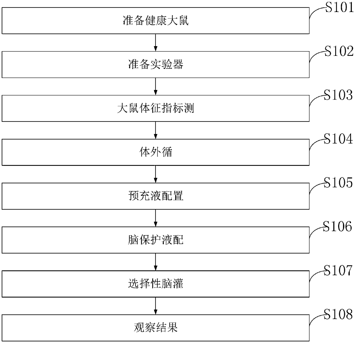 Deep hypothermic circulatory rat animal model