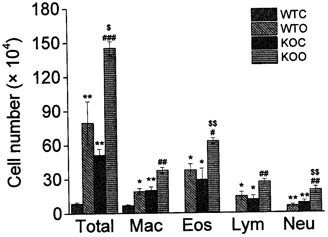 Function and application of voltage-gated proton channel Hv1 in treating allergic asthma