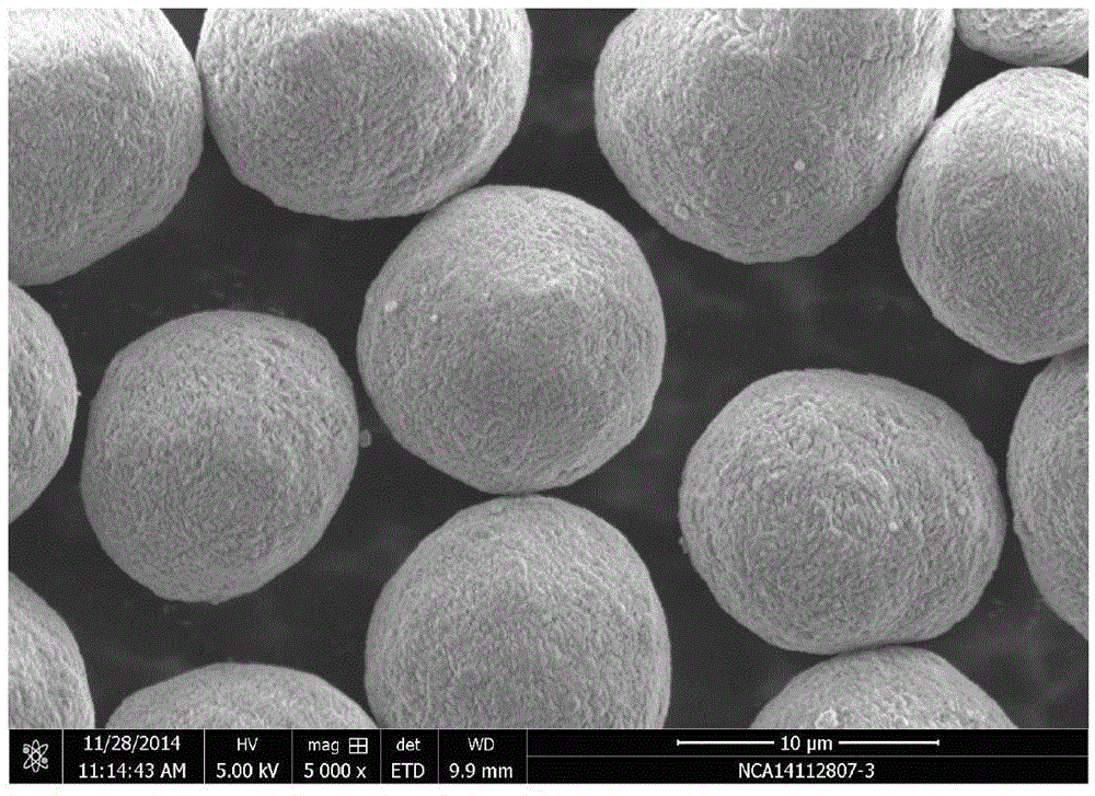 Positive electrode material precursor of lithium ion battery and preparation method thereof