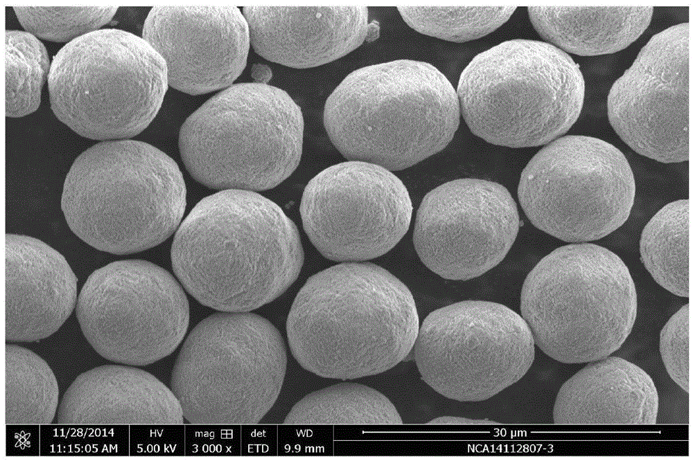 Positive electrode material precursor of lithium ion battery and preparation method thereof