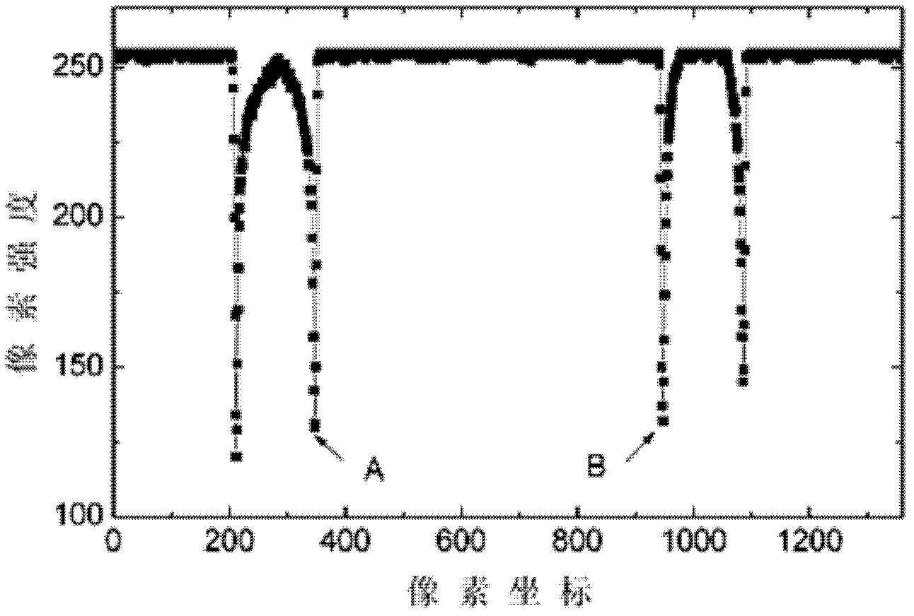 Optical detection method of ten-nanometer-magnitude sizes and errors