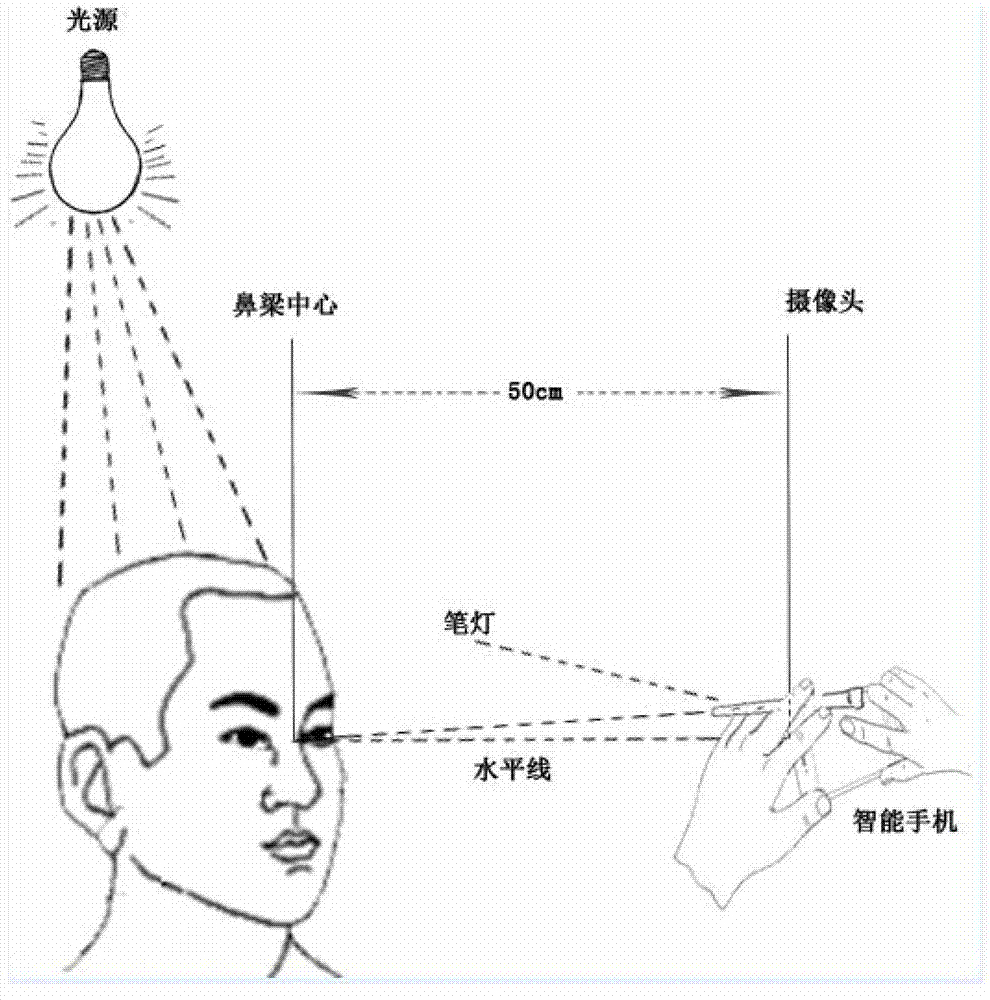 Strabismus diagnosis device based on mobile platform