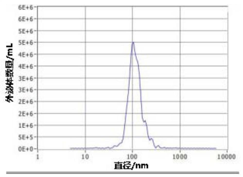 Transformed hek293t cells and preparation method, drug-loaded exosome and preparation method