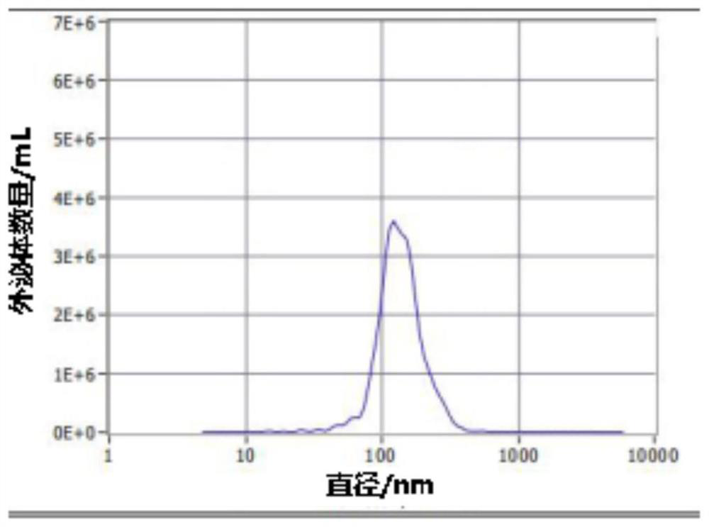 Transformed hek293t cells and preparation method, drug-loaded exosome and preparation method