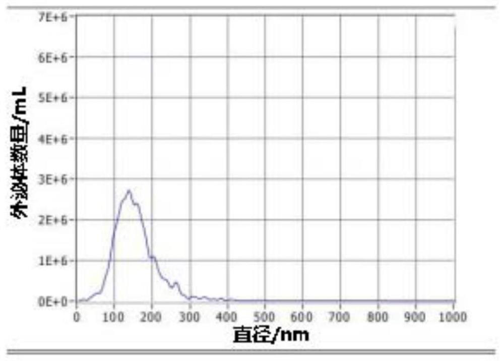 Transformed hek293t cells and preparation method, drug-loaded exosome and preparation method