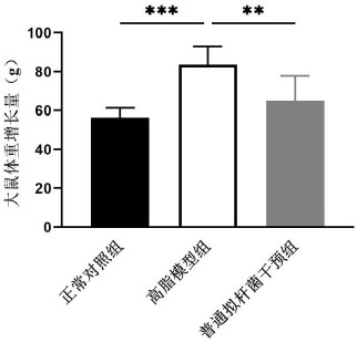 Application of bacteroides vulgarus probiotic CGMCC NO.17140 in preparation of lipid-lowering medicine