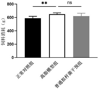 Application of bacteroides vulgarus probiotic CGMCC NO.17140 in preparation of lipid-lowering medicine