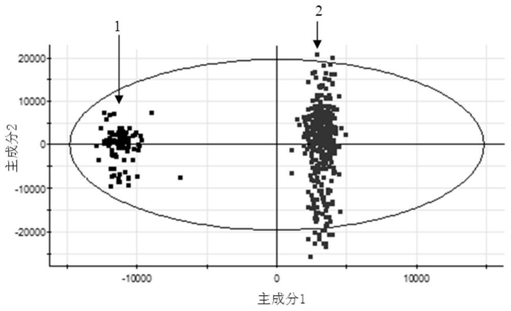 A method for identification of metabolic markers based on coronary heart disease with heart-yang deficiency syndrome