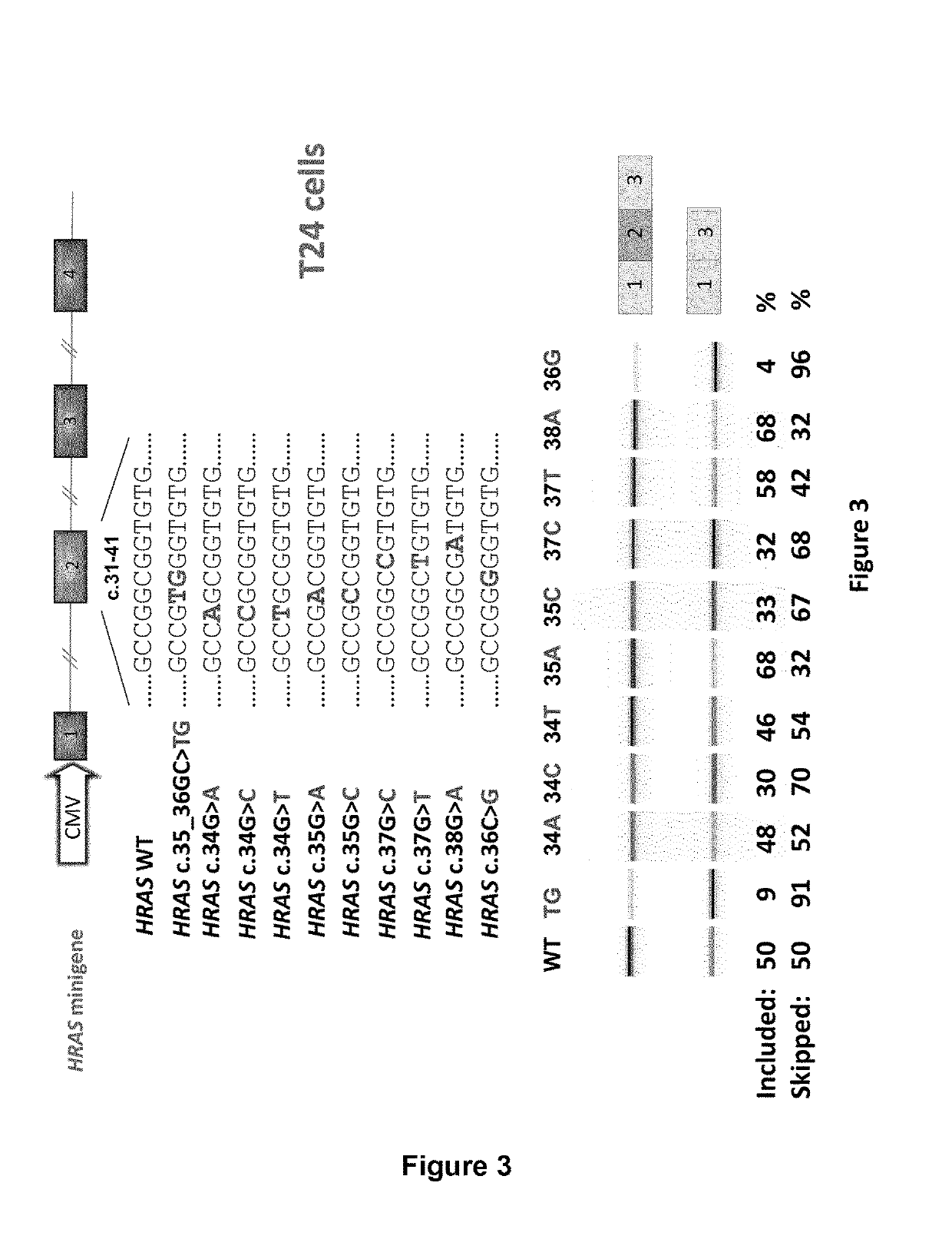 RAS exon 2 skipping for cancer treatment