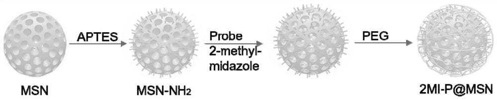 Super-assembled polyethylene glycol/silicon dioxide nano sensing probe as well as preparation method and application thereof