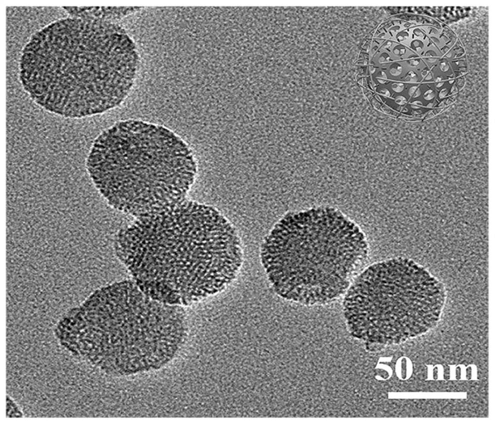 Super-assembled polyethylene glycol/silicon dioxide nano sensing probe as well as preparation method and application thereof