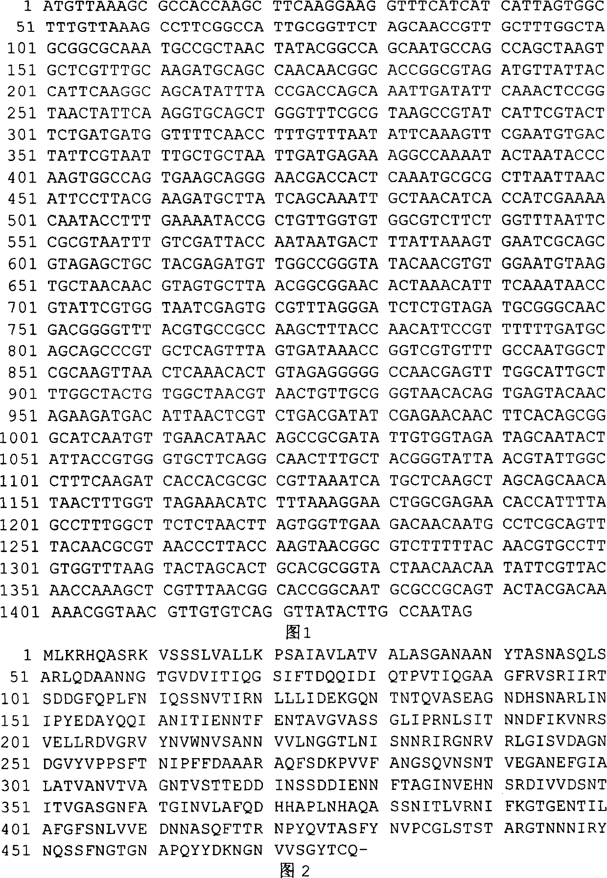 Beta-agaropectionase gene aga B, its preparation method and application