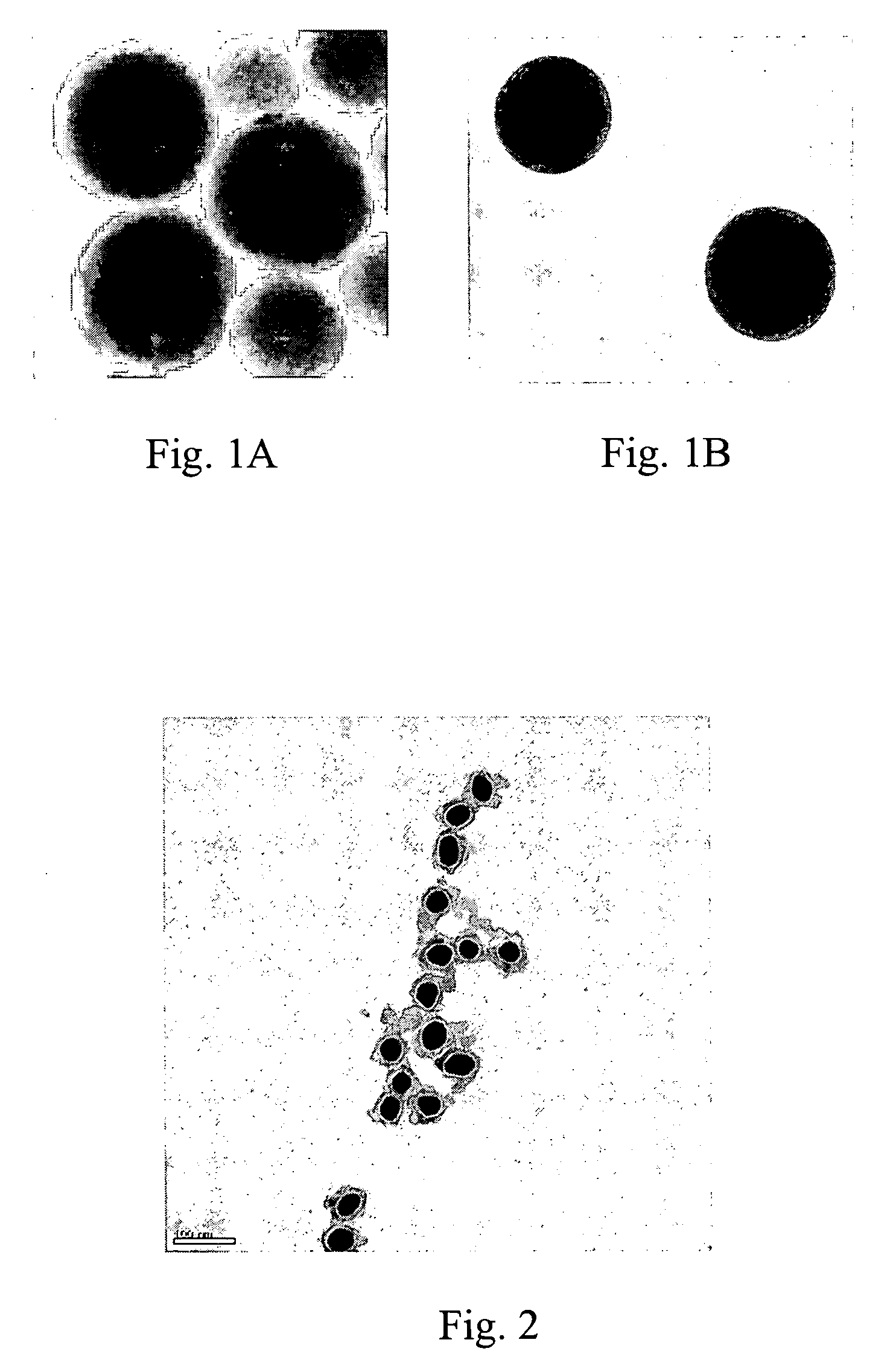 Surface enhanced spectroscopy-active composite nanoparticles