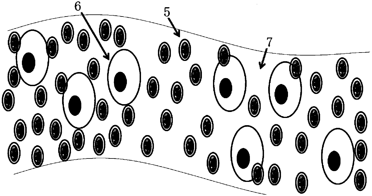 Long-acting sustained-release cell scaffold, and preparation method and application thereof