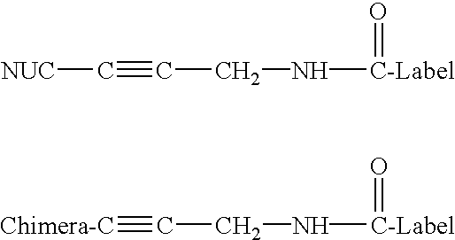 PNA-DNA chimeric probe arrays and methods of use