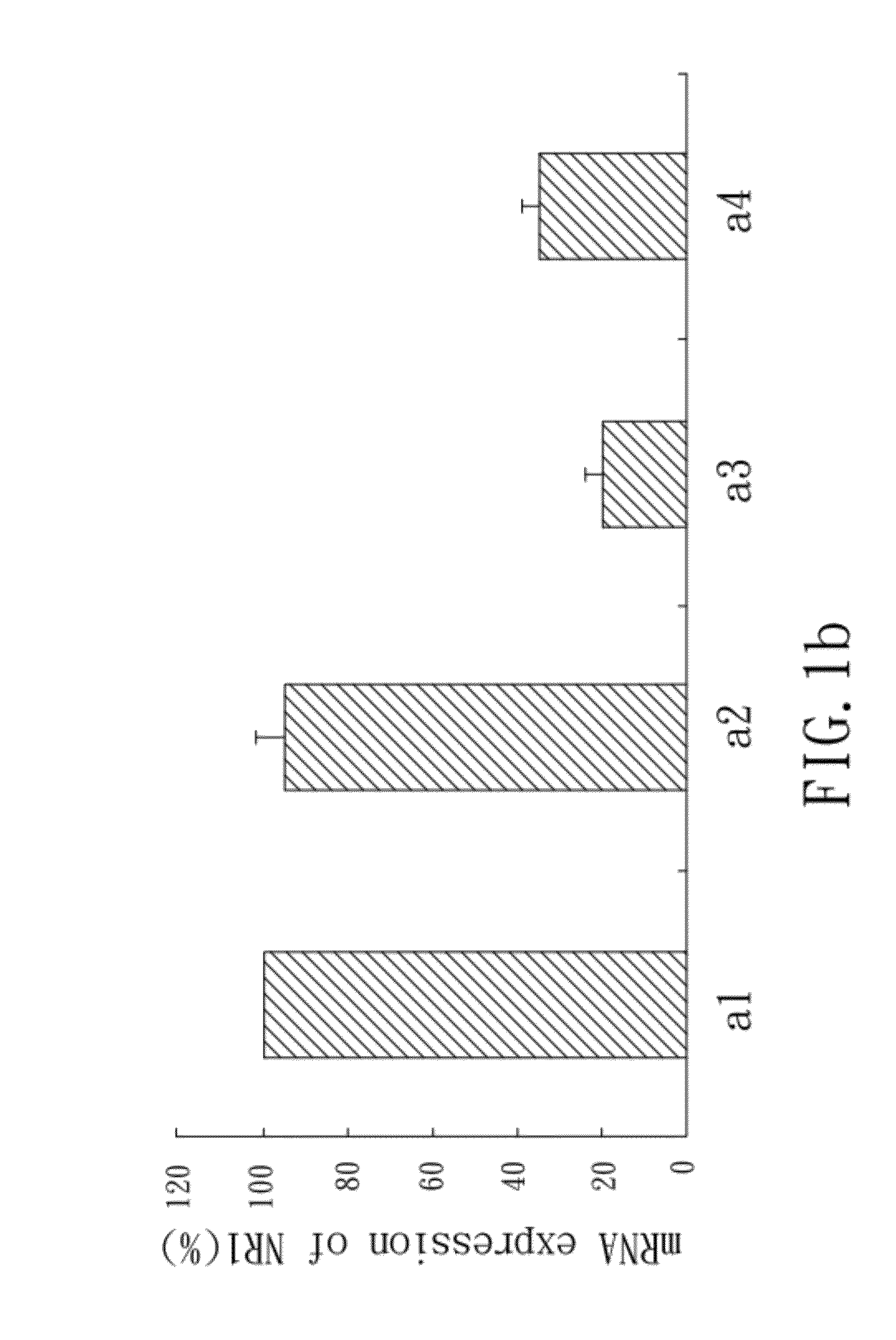 Short hairpin RNA for gene knockdown of nr1 subunit of the n-methyl-d-aspartate receptor and its application on pharmaceutics