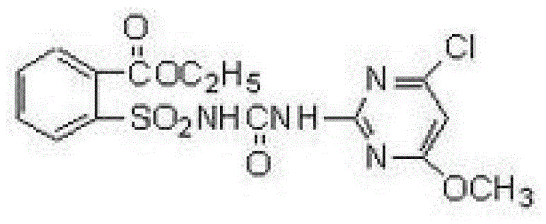 Bacterium for degrading herbicide chlorimuron-ethyl and application of bacterium