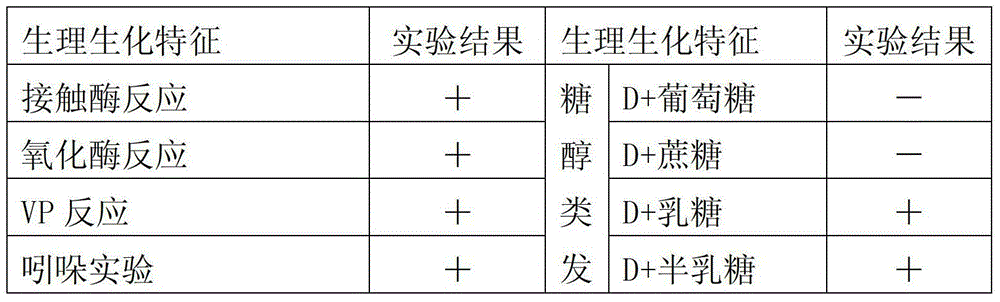 Bacterium for degrading herbicide chlorimuron-ethyl and application of bacterium