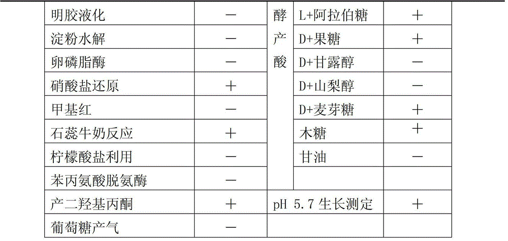 Bacterium for degrading herbicide chlorimuron-ethyl and application of bacterium