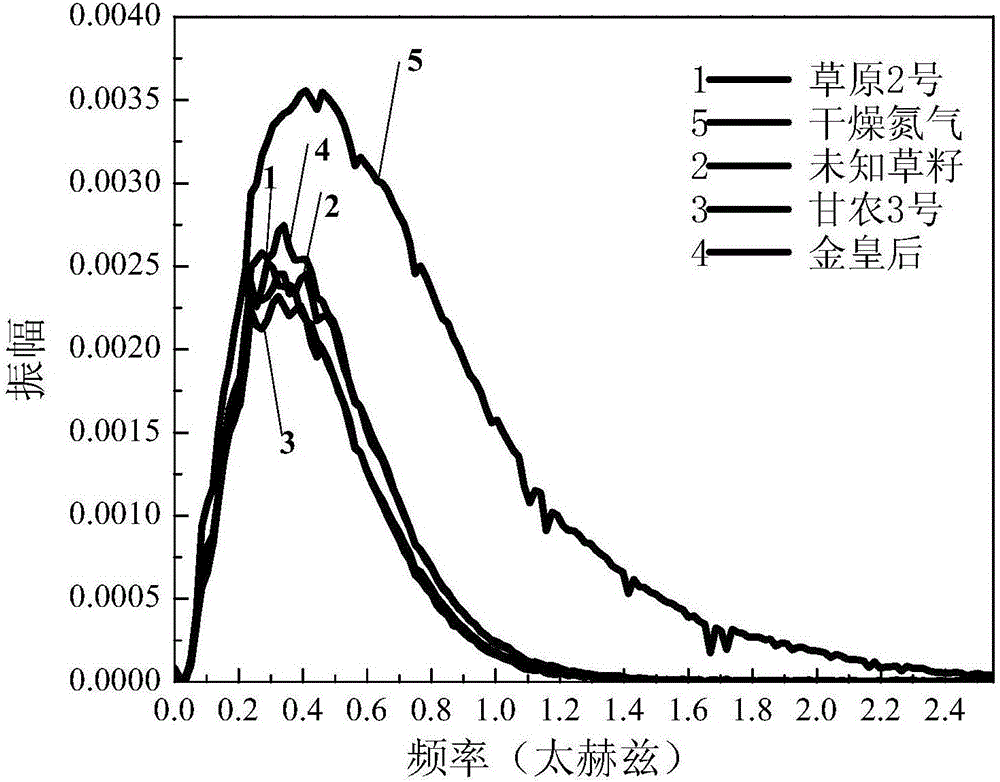 Dynamic multipoint grass variety identification and authentication method based on terahertz time domain spectroscopy