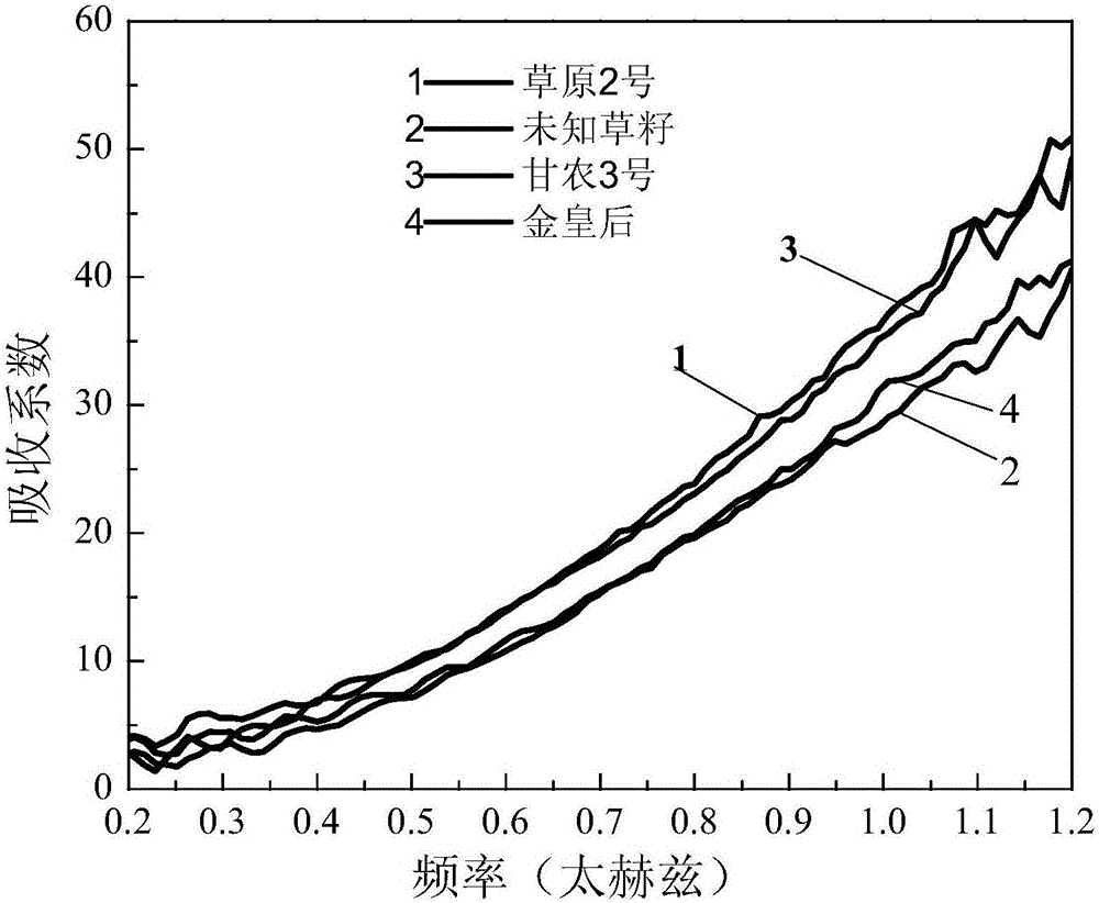 Dynamic multipoint grass variety identification and authentication method based on terahertz time domain spectroscopy