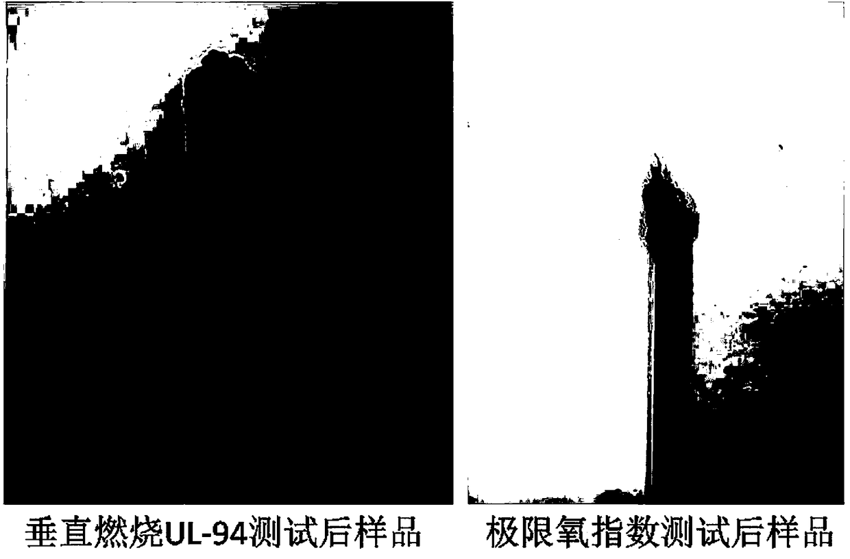 Eigen antiflaming semi-aromatic copolymerization aromatic ether amide and preparation method thereof