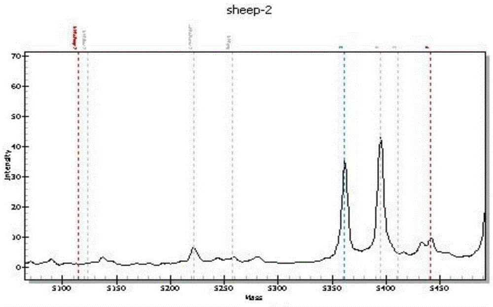 Identification of animal-derived components in meat products by mass spectrometry