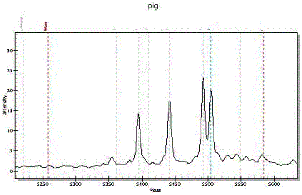 Identification of animal-derived components in meat products by mass spectrometry