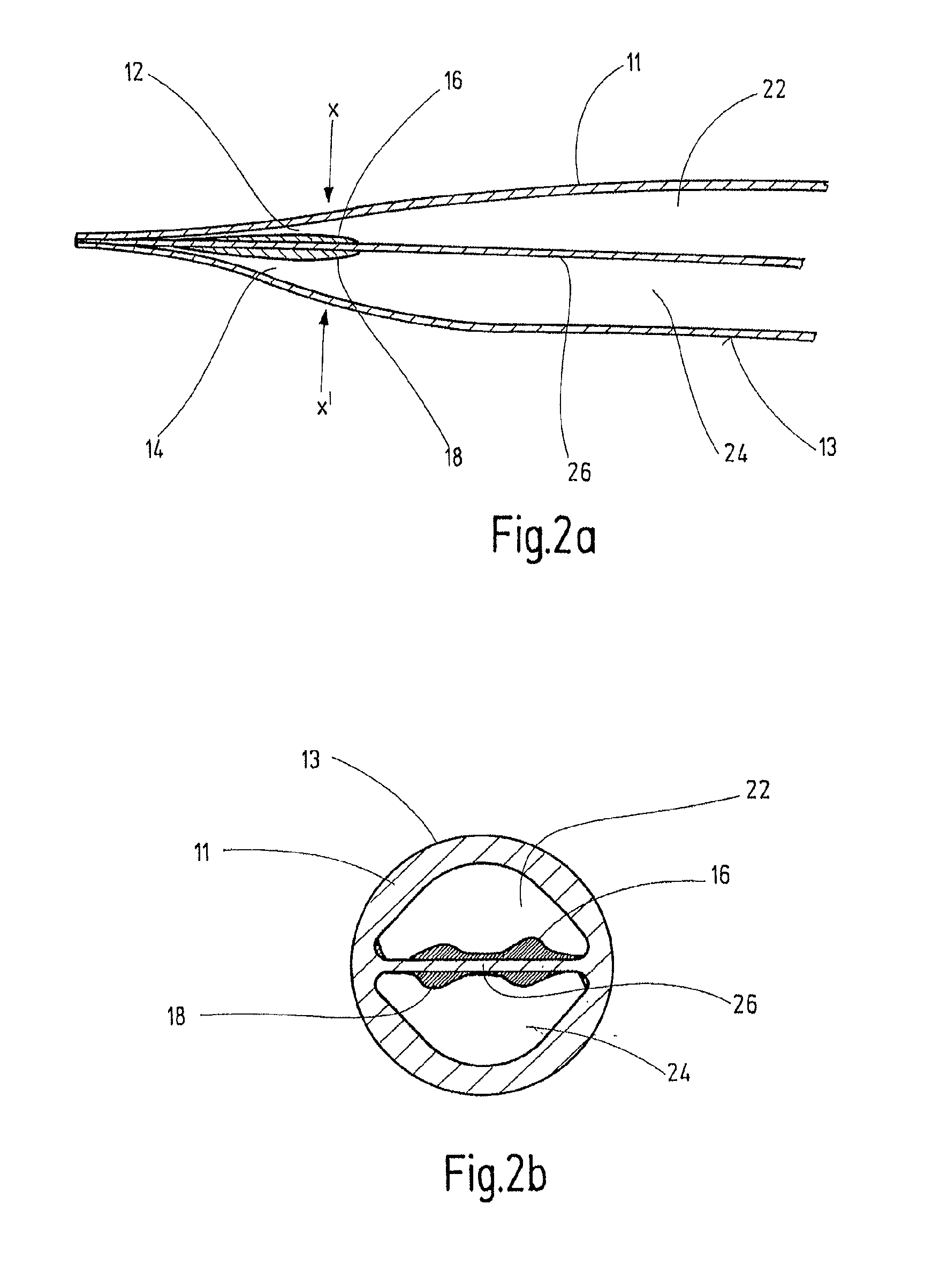 Double lumen catheter