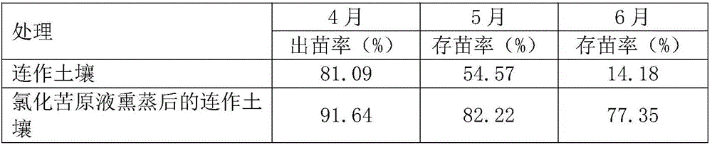 Chemical disinfection method for panax notoginseng continuous cropping soil