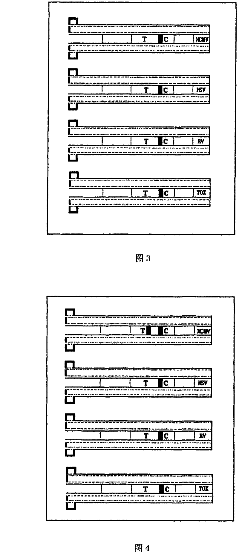 Portable fast joint inspection device for foetus teratogenic disease