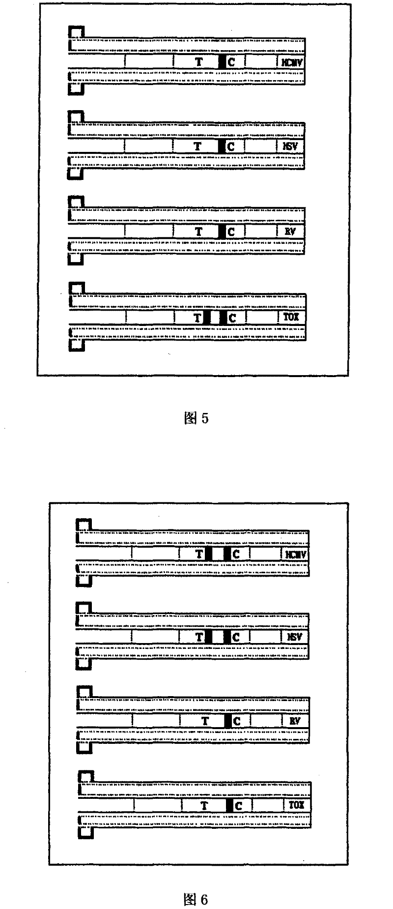 Portable fast joint inspection device for foetus teratogenic disease