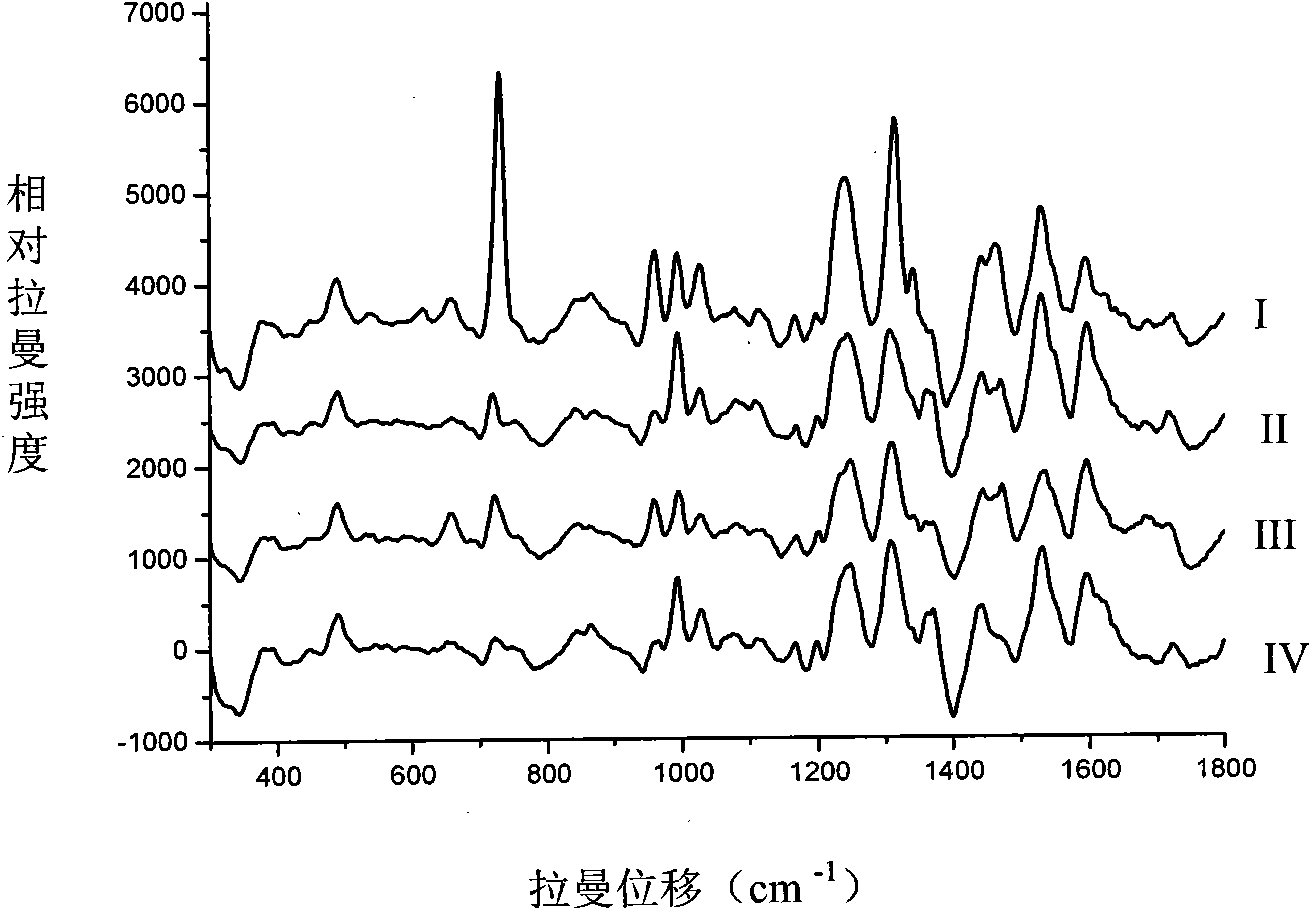 Method for identifying foodborne pathogen by surface enhanced Raman spectroscopy