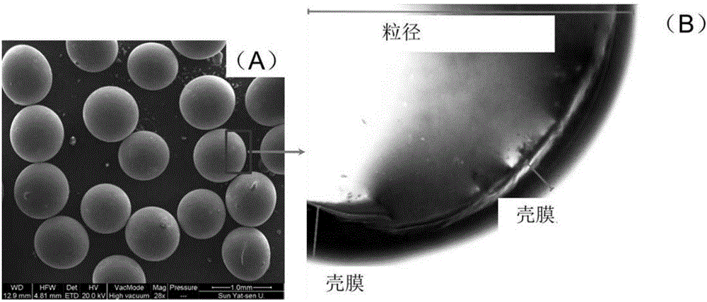 Core-shell moisturizing material, and preparation method and application thereof