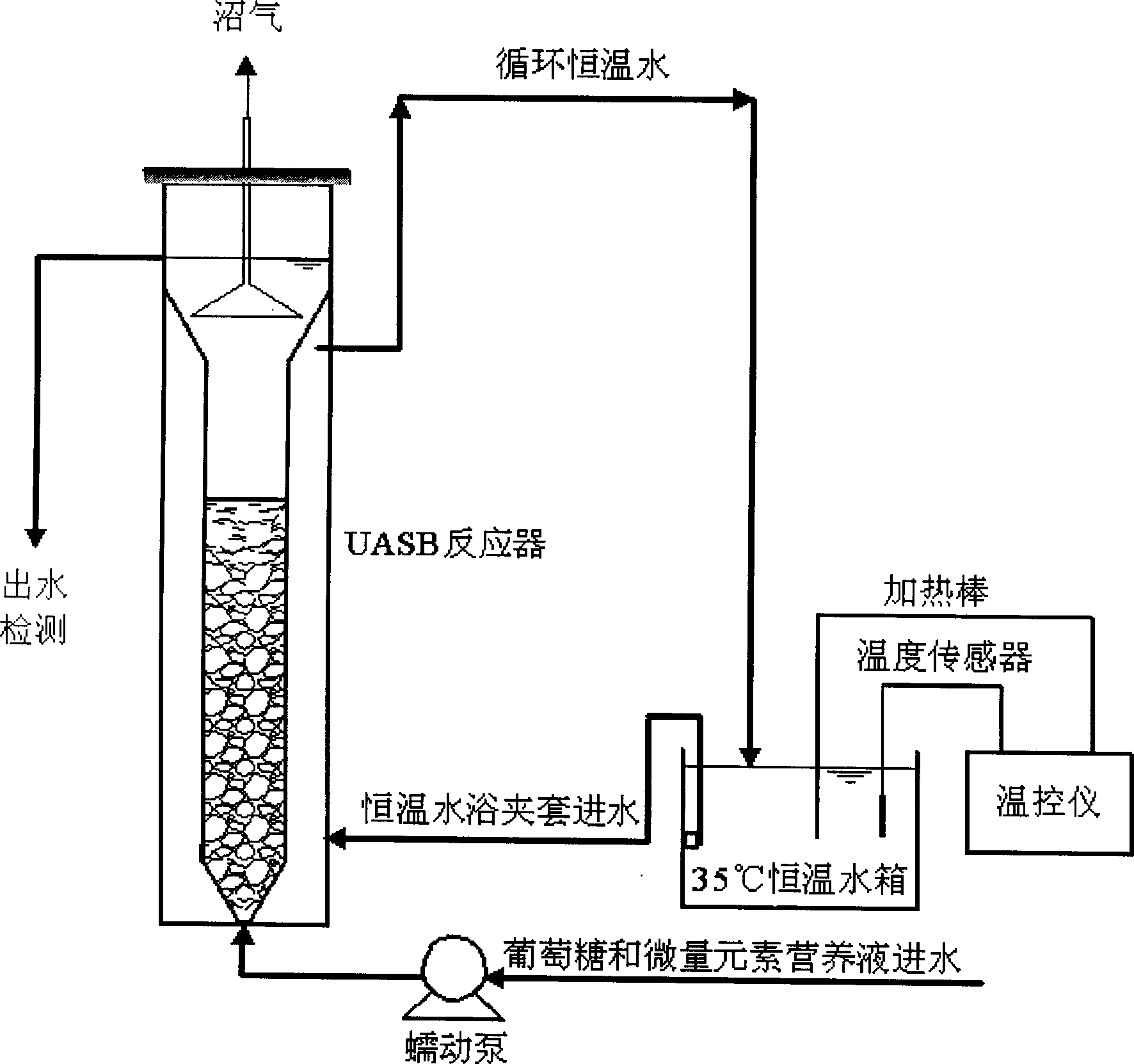 Screening method for anaerobe capable of degrading chlorophenol