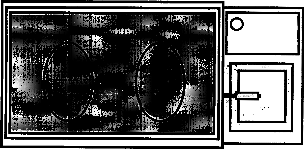 Screening method for anaerobe capable of degrading chlorophenol